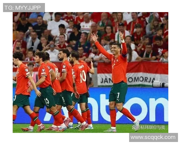 2010年世界杯经典对决回顾葡萄牙与法国的激烈较量与精彩瞬间 2010年世界杯经典对决回顾葡萄牙与法国的激烈较量与精彩瞬间