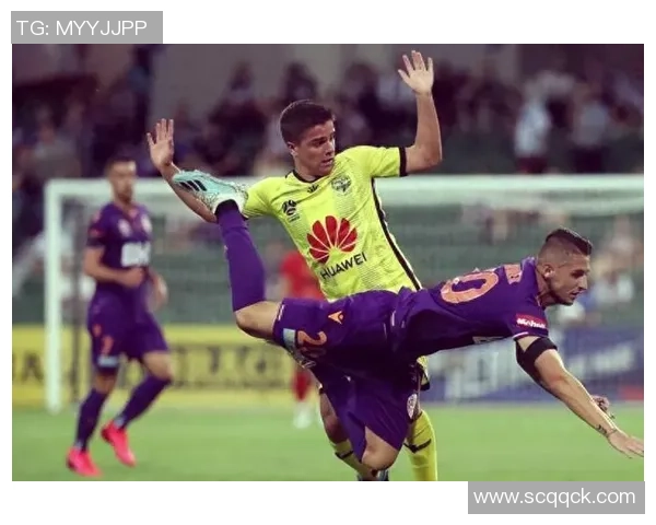 珀斯光荣与惠灵顿凤凰对决分析及赛前预测展望 珀斯光荣与惠灵顿凤凰对决分析及赛前预测展望