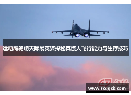 运动鹰翱翔天际展英姿探秘其惊人飞行能力与生存技巧